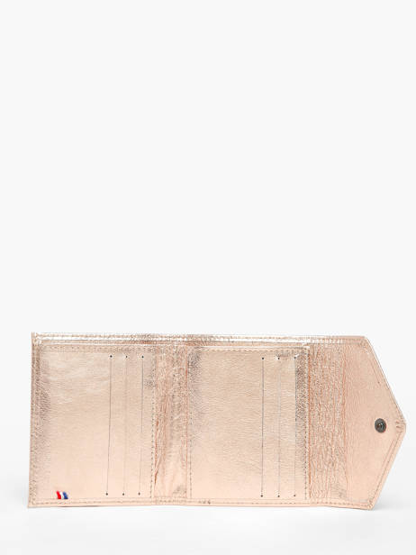 Porte-cartes Etincelle Irisée Cuir Etrier Or etincelle irisee EETI113 vue secondaire 1